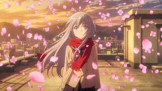 Sakura storm on the rooftop